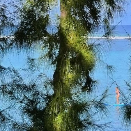 La Villa Caroline - 拉萨尔勒班 外观 照片